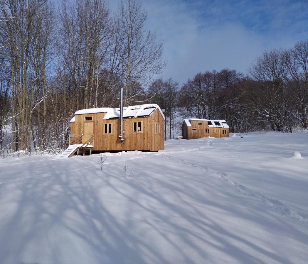 Celorocni Glamping V Pohodlnem Domecku Villa Výprachtice Exterior foto